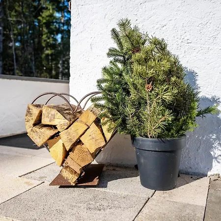 Am Steinbach - Stoaboch Reit im Winkl
